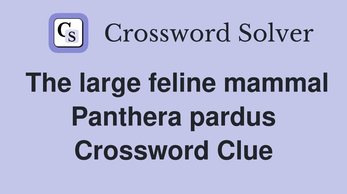 The large feline mammal Panthera pardus - Crossword Clue Answers